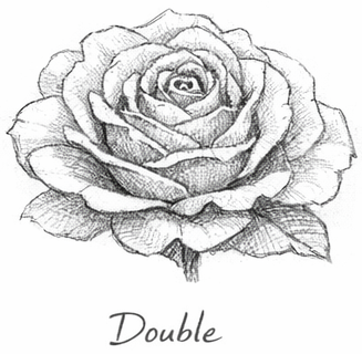 Double